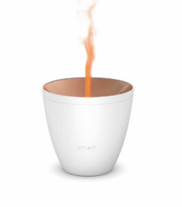 Zoe_aroma_difuzer-beli